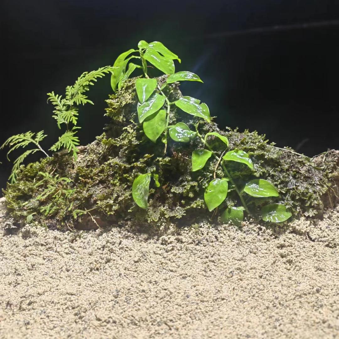 仫佬族奇石摆件