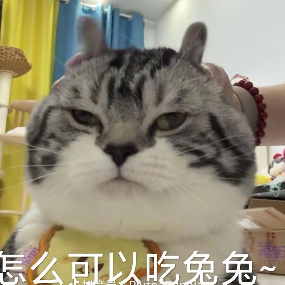 爱吃西兰花🥦