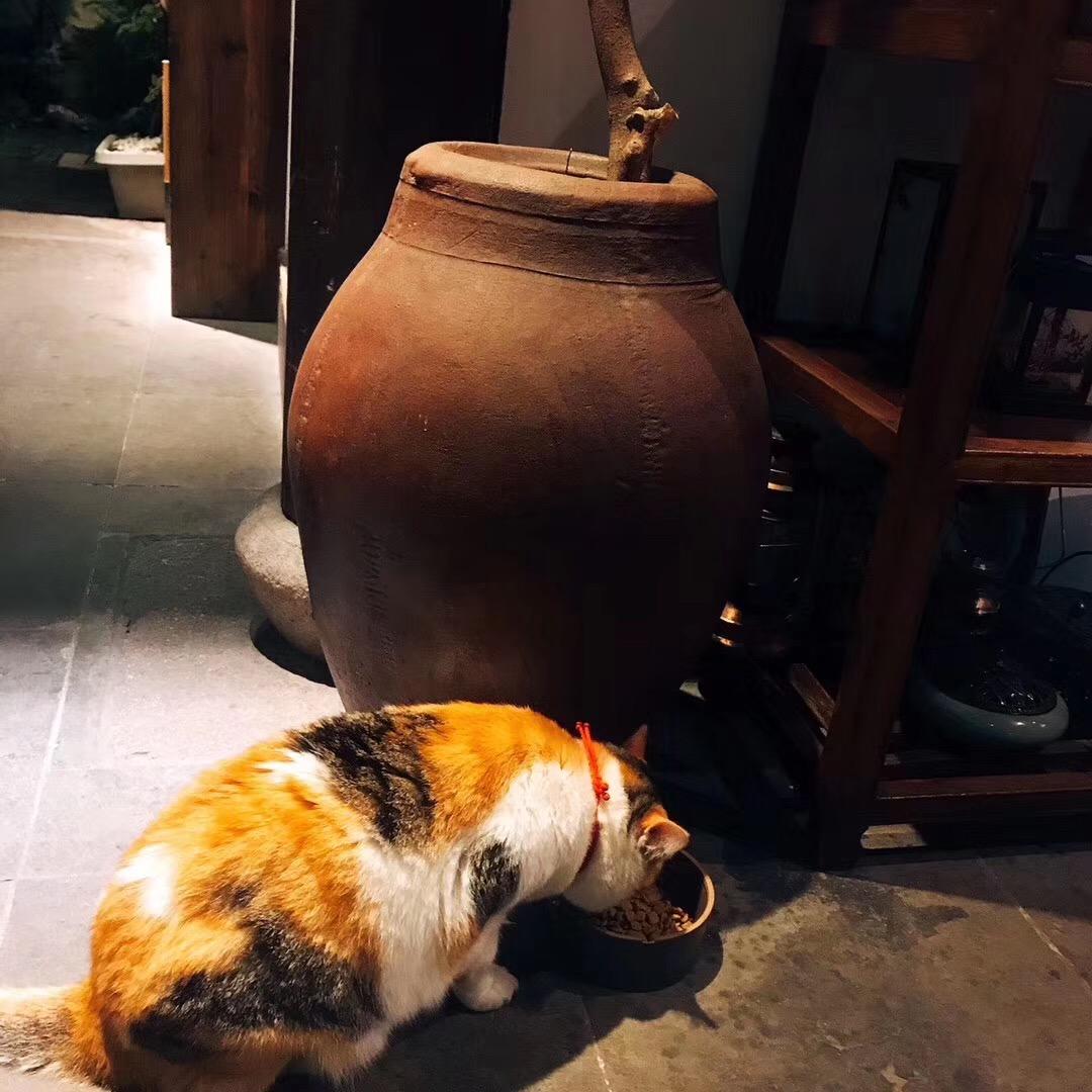 慢慢来吧