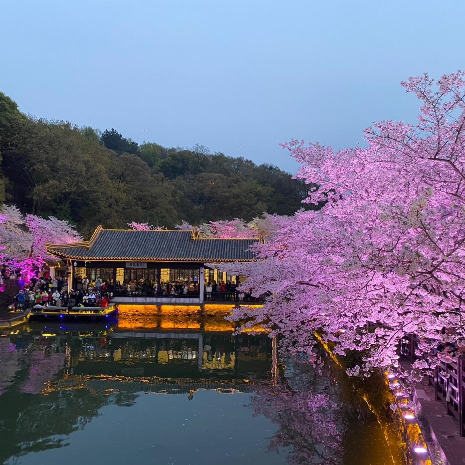 小🌈🐯🌈用户