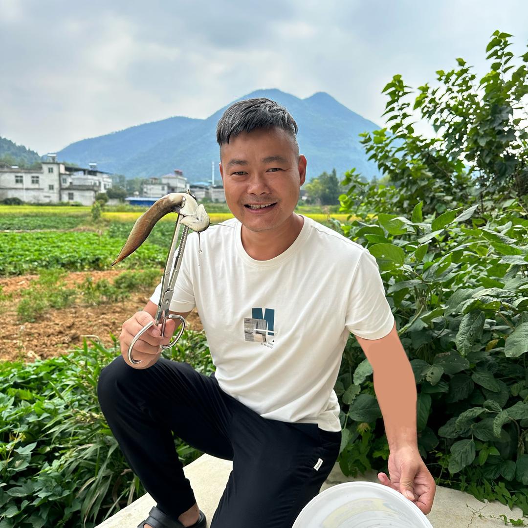 摸鱼佬 阿正