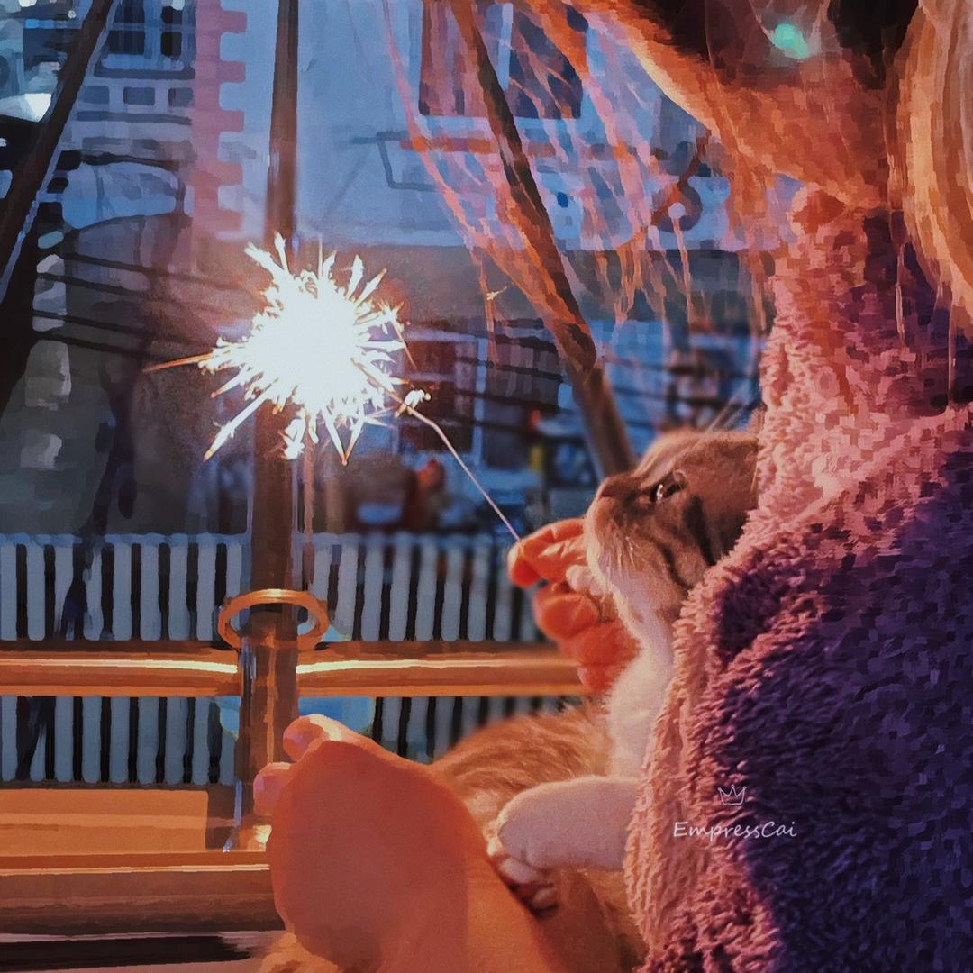 家有猫咪叫九月