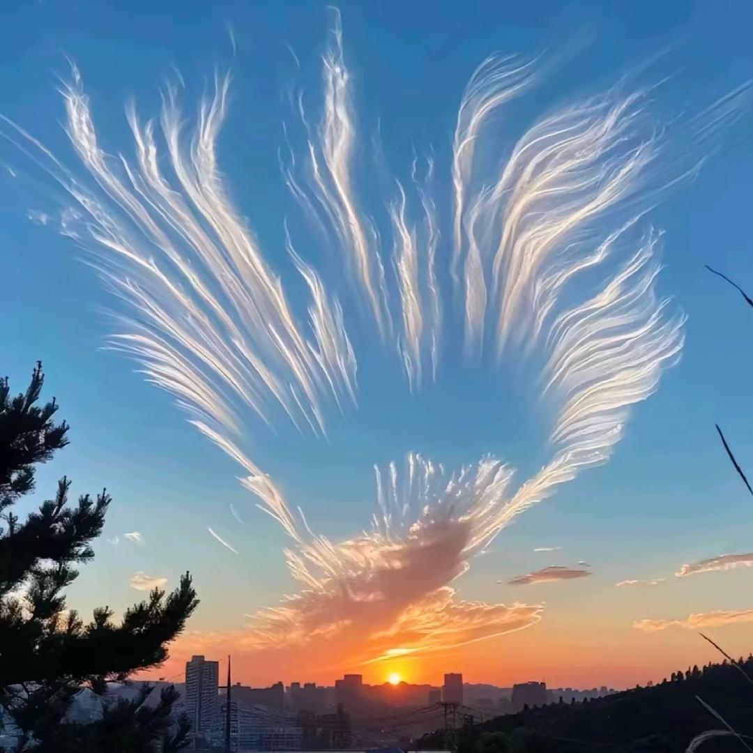 ꧁༺月    影༻꧂