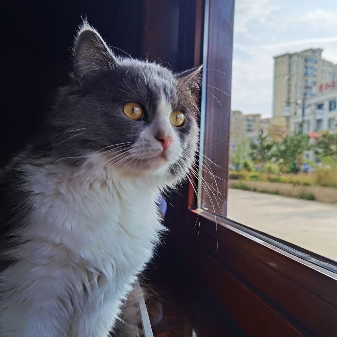 氿万羽毛球俱乐部