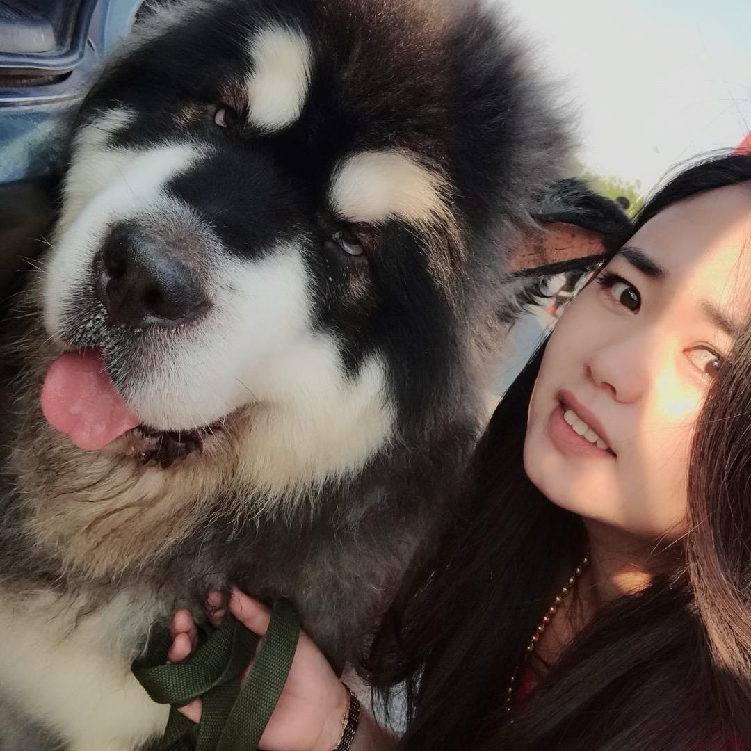 我有一只熊版阿拉斯加
