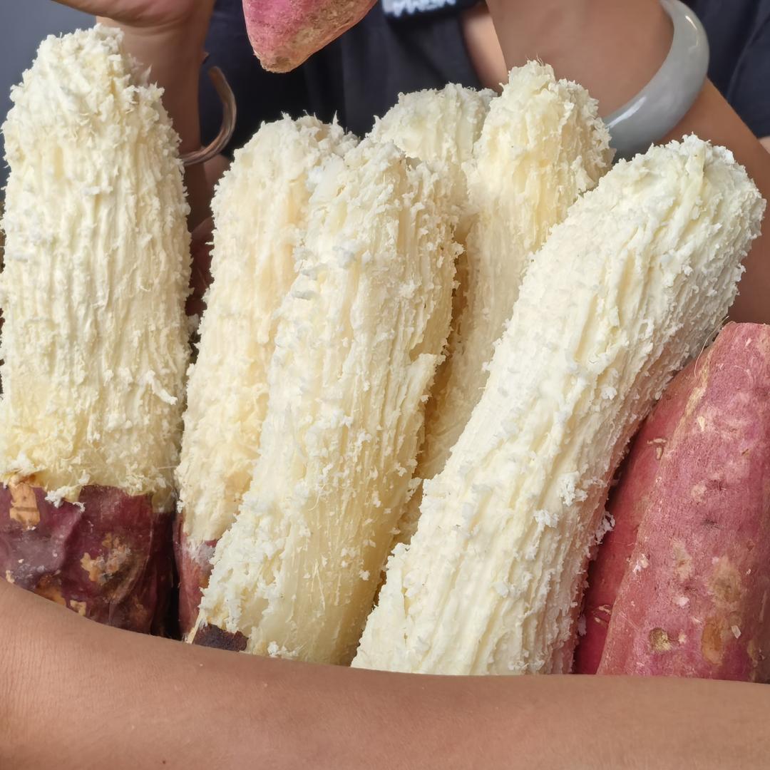 新农人老罗（专注白心板栗薯）