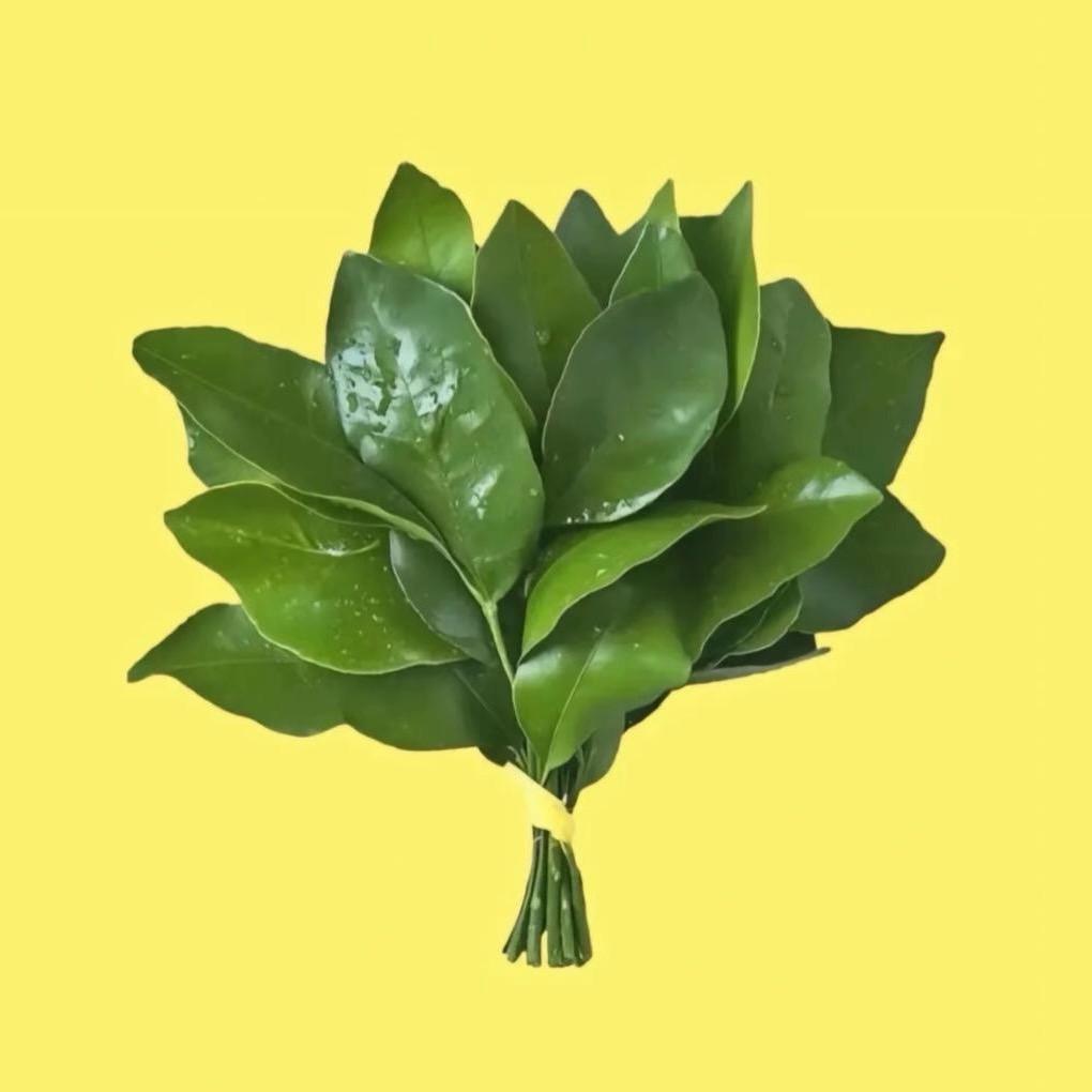 揭开谎言下的真相