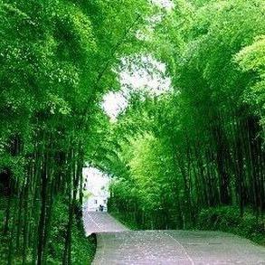 橙心宝藏