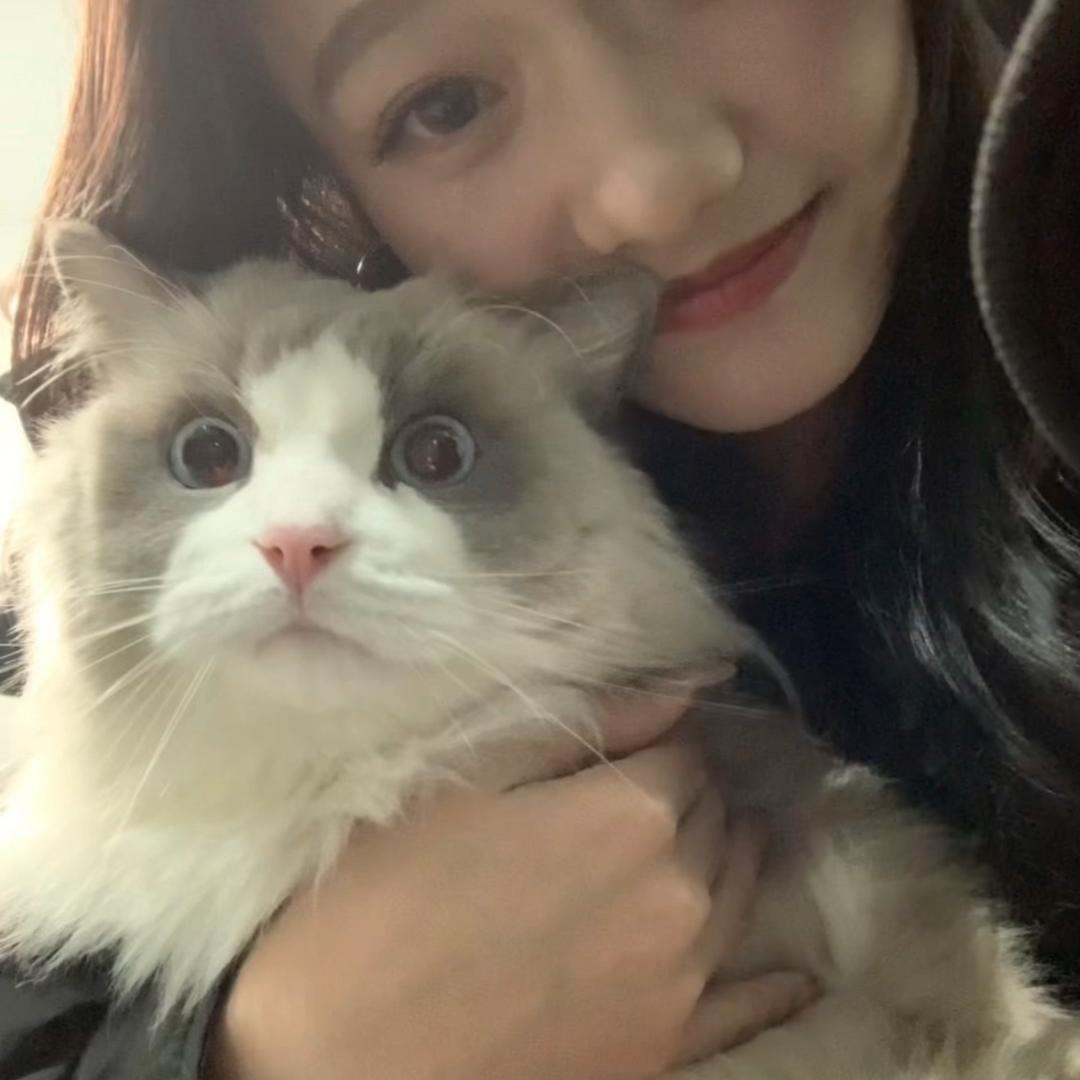 ˶ᵒ ᵕ ˂˶