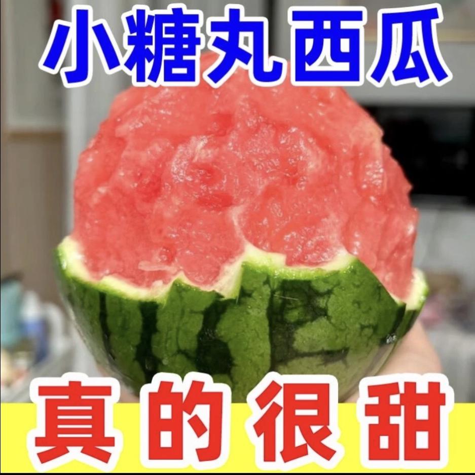 菜小虾