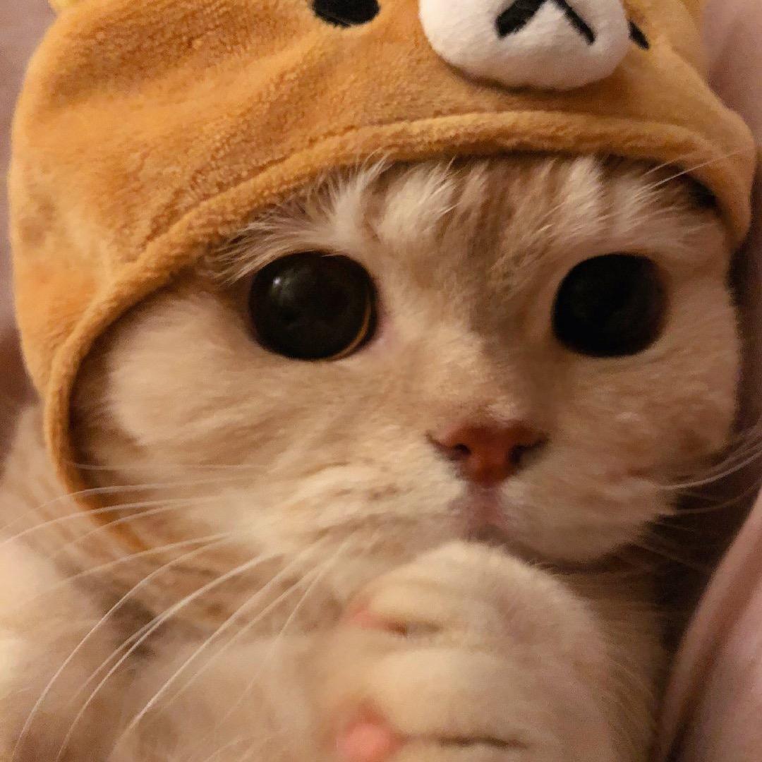 Ying_
