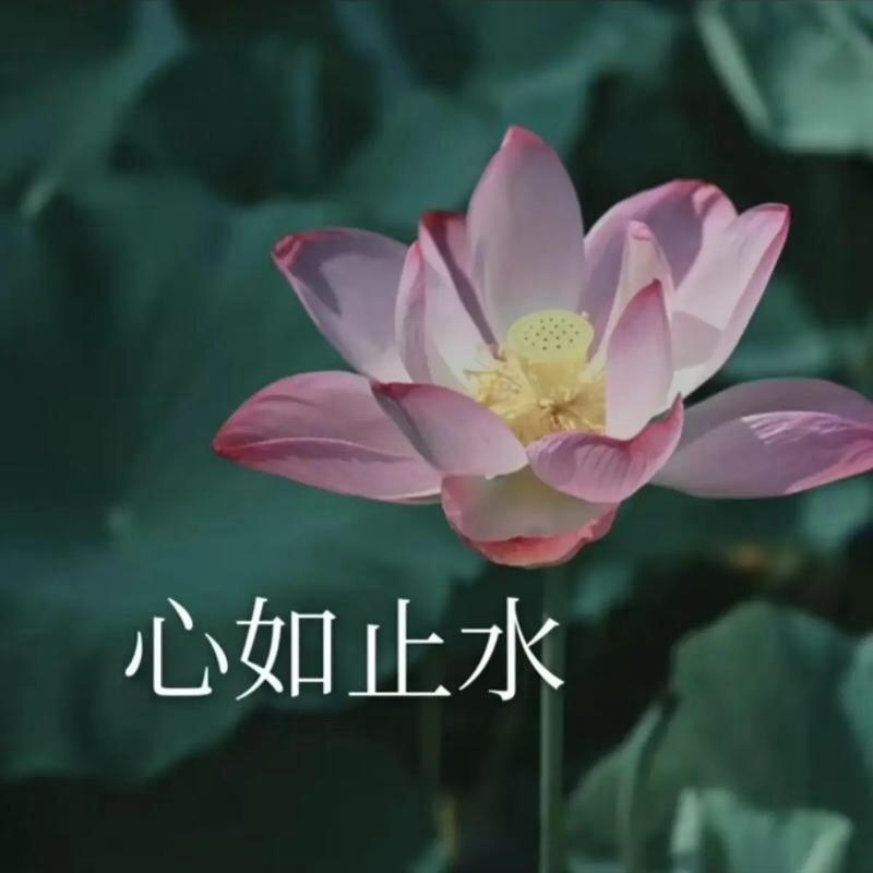 静思