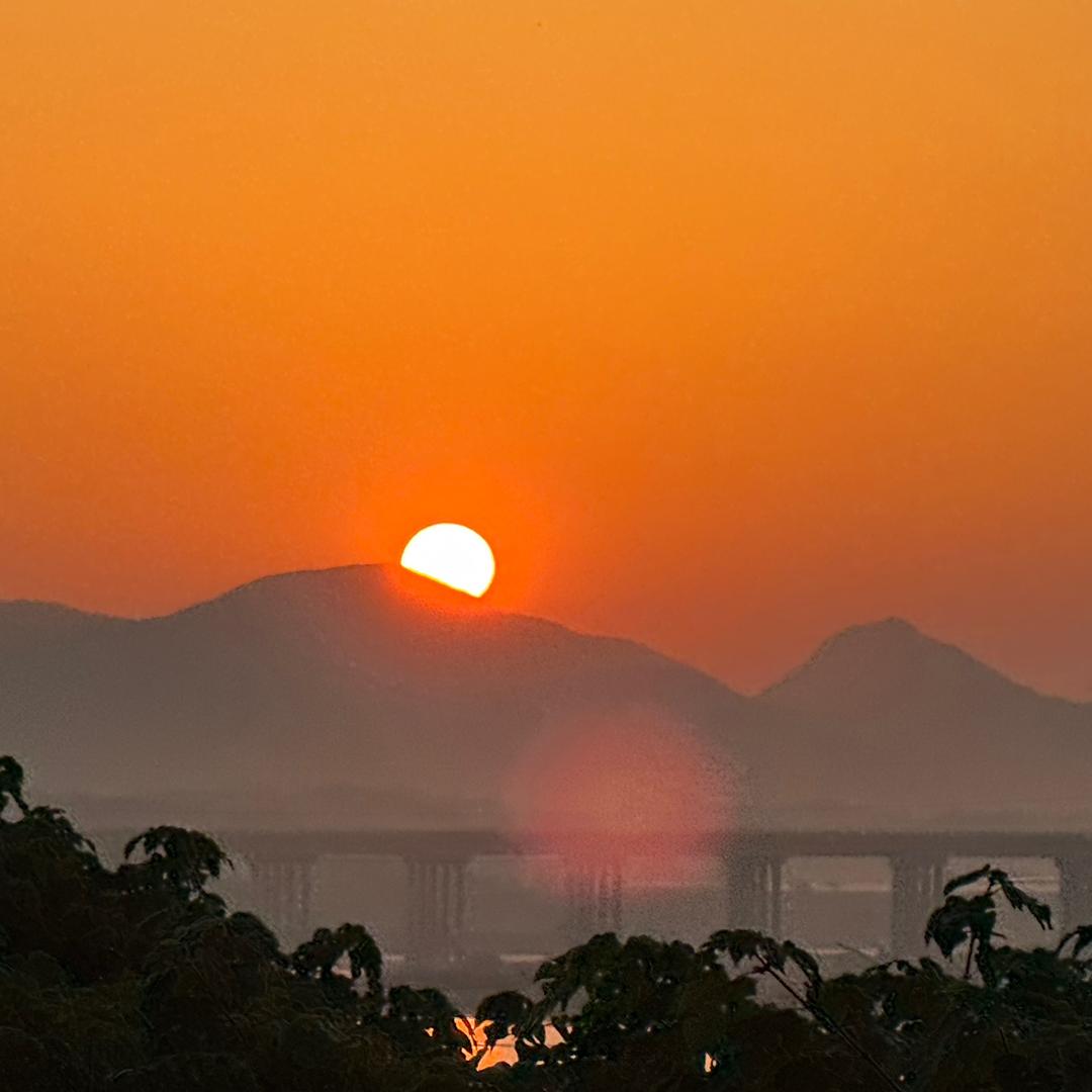 小李