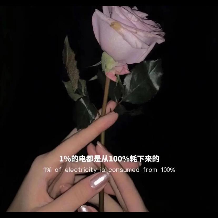宇
