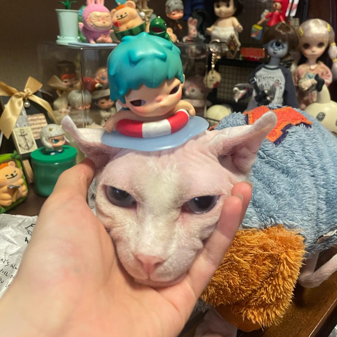啦啦米