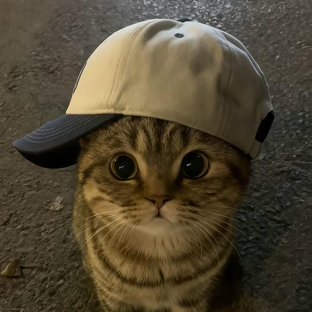 达吉🪽