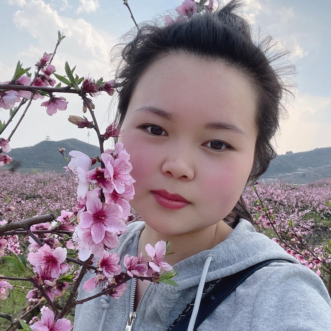 卡卡西的梦
