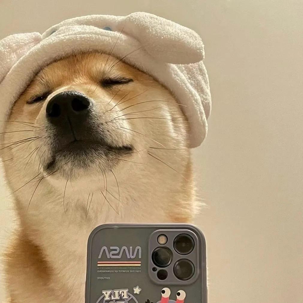 摸鱼