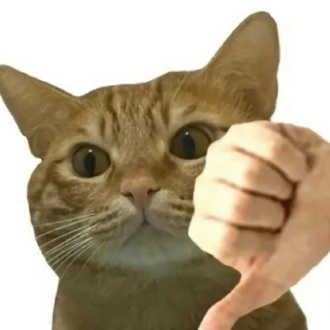 没能变成超级猫猫