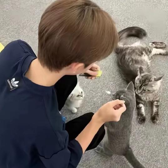 妊鑫