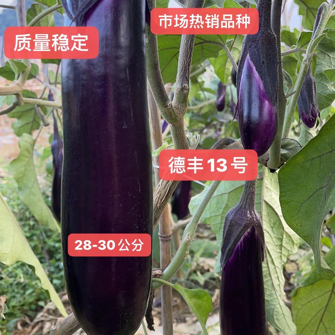 德丰烧烤茄