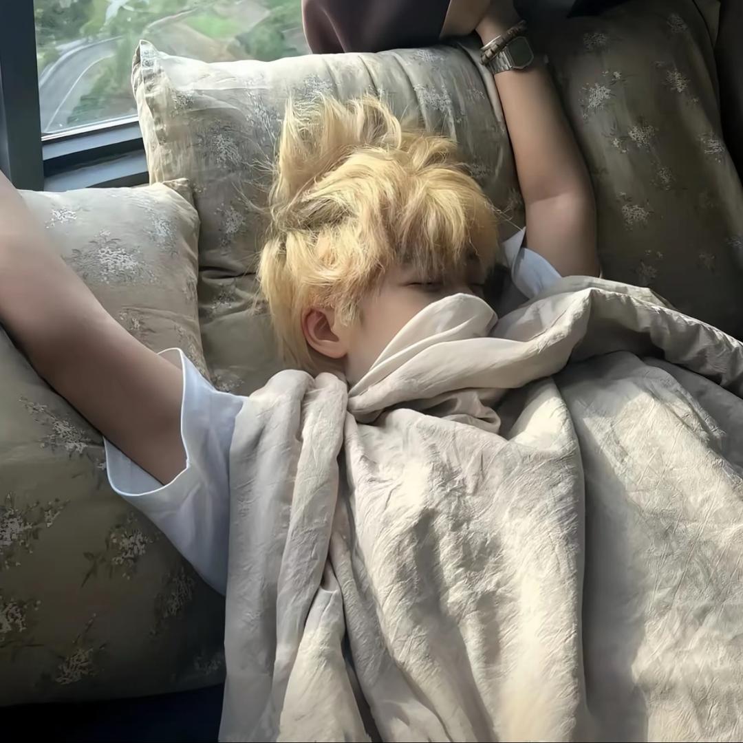 贝臭臭
