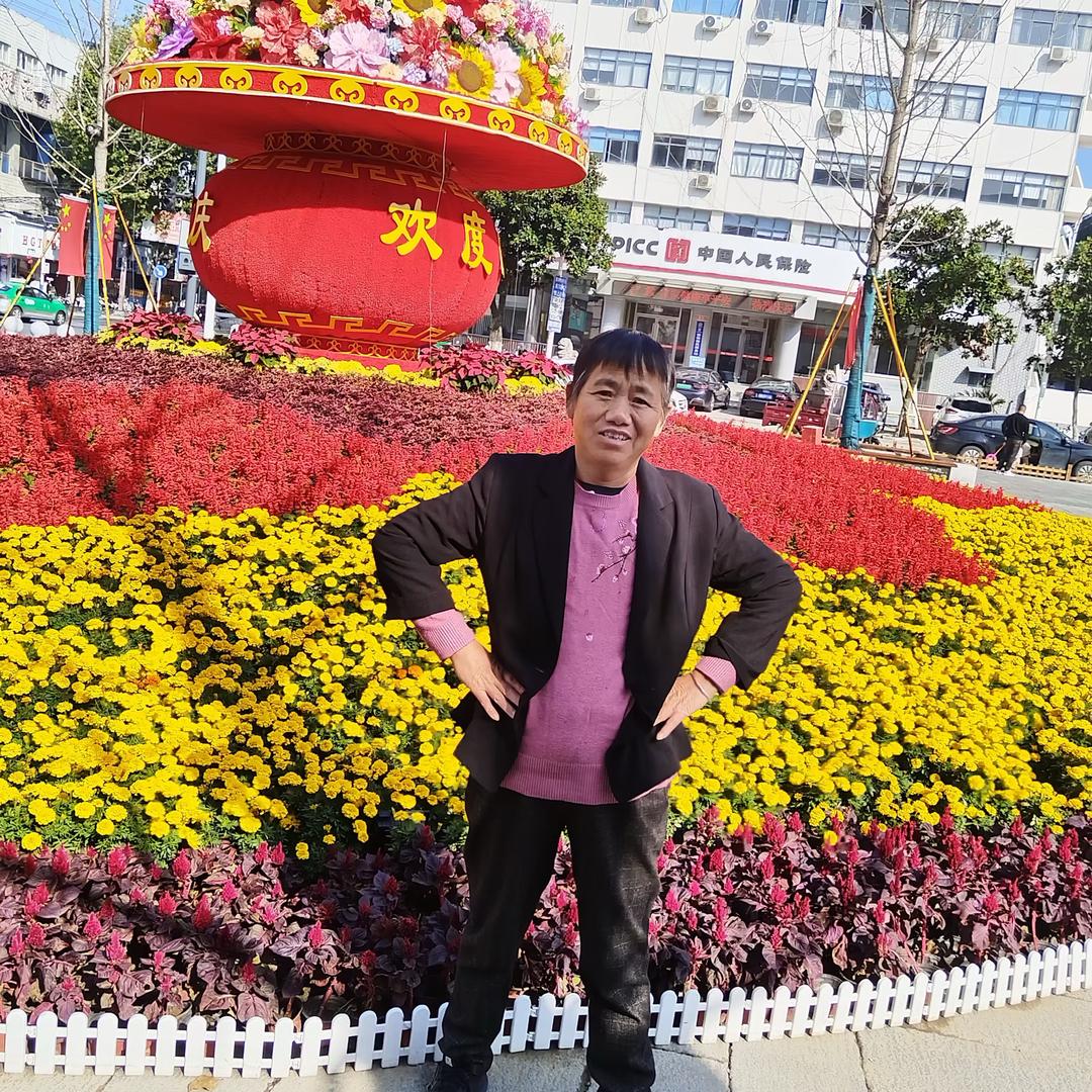 安徽省合肥市庐江县石头镇董大姐