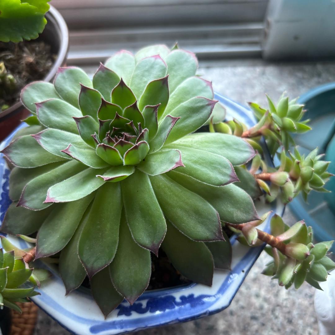 😊