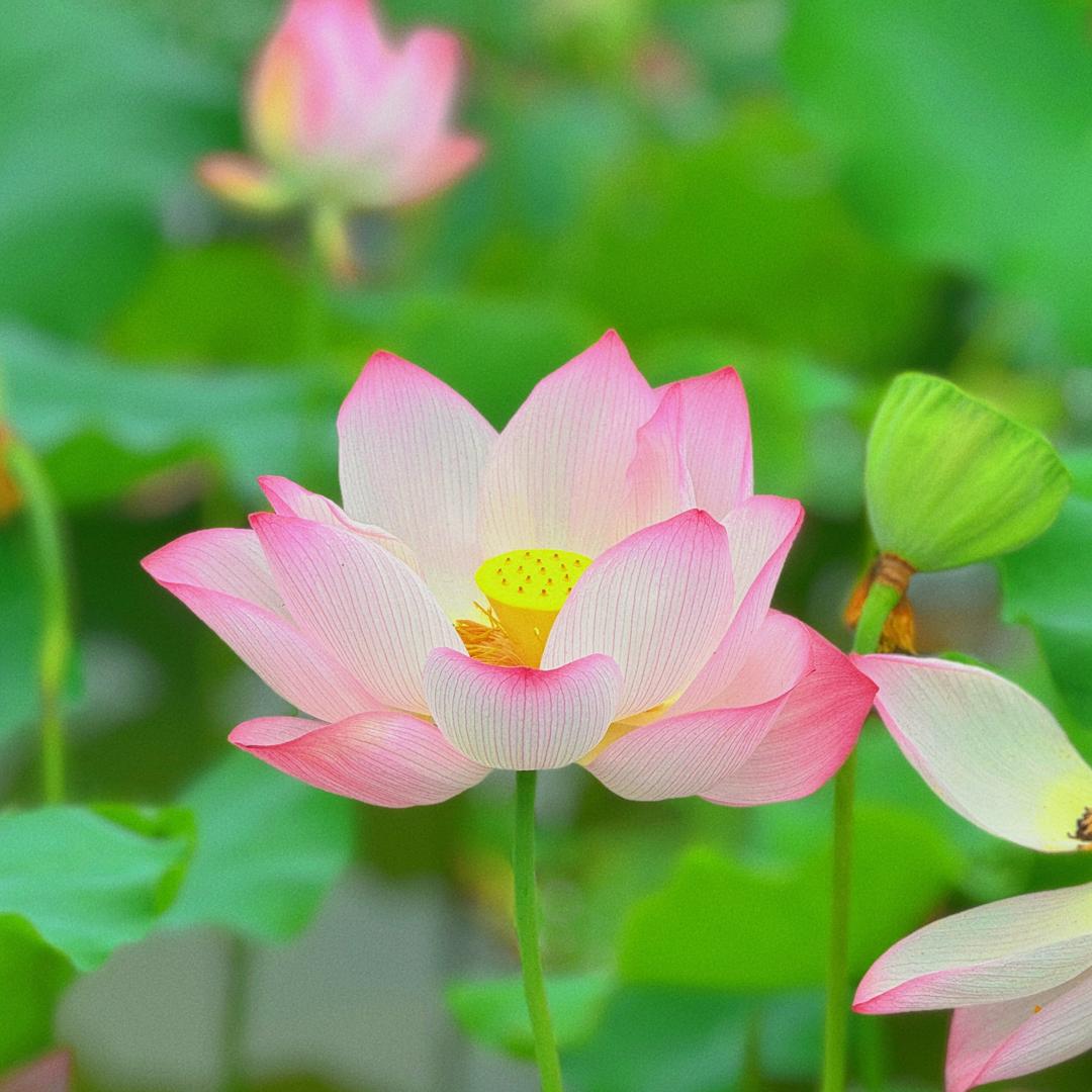 衣见如故.ins服装