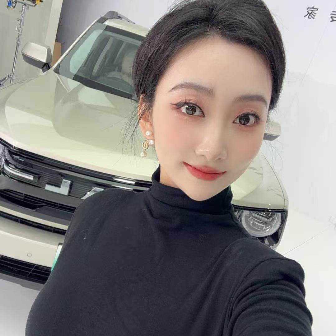 H A V A L汽车-酥酥