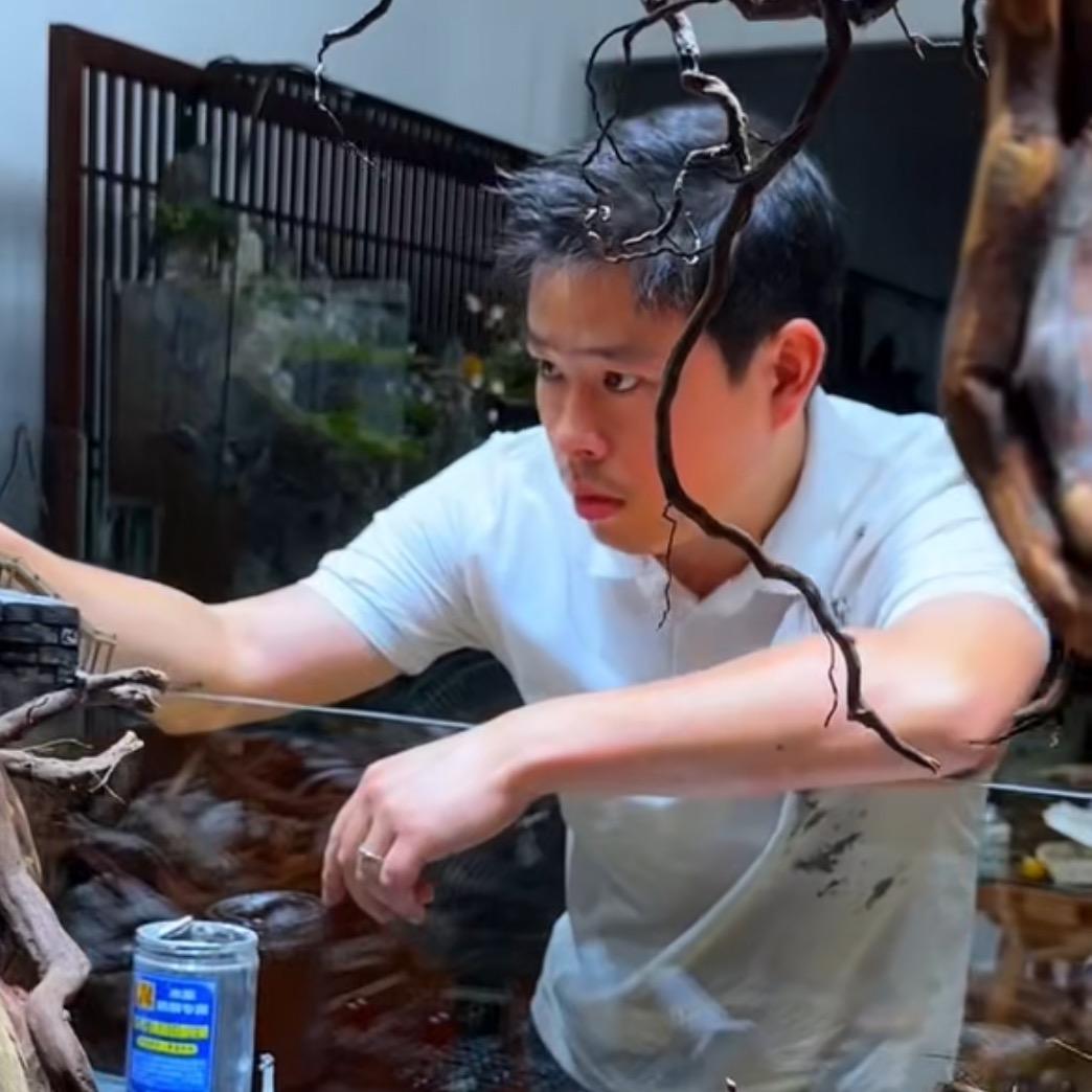 阿乐造景工作室
