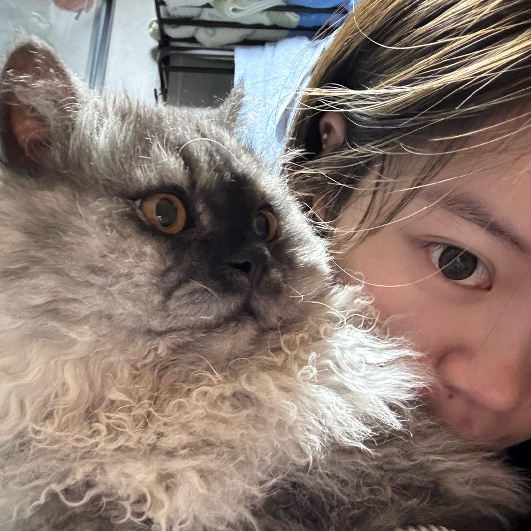 小狗昭昭🐈‍⬛