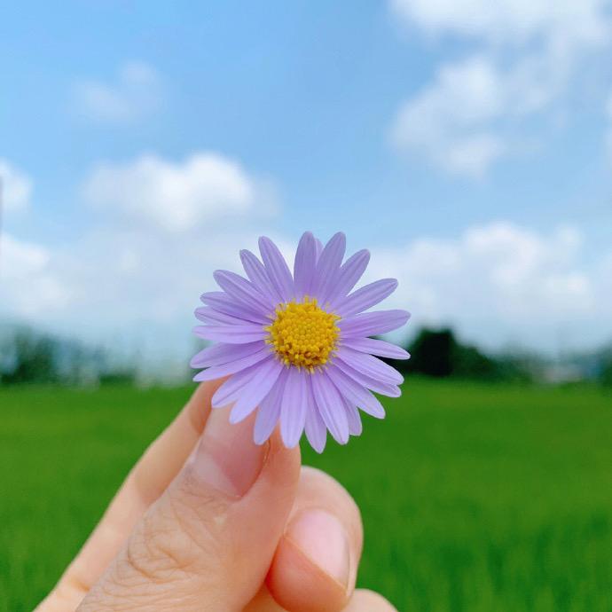 李李李老师遇师知行