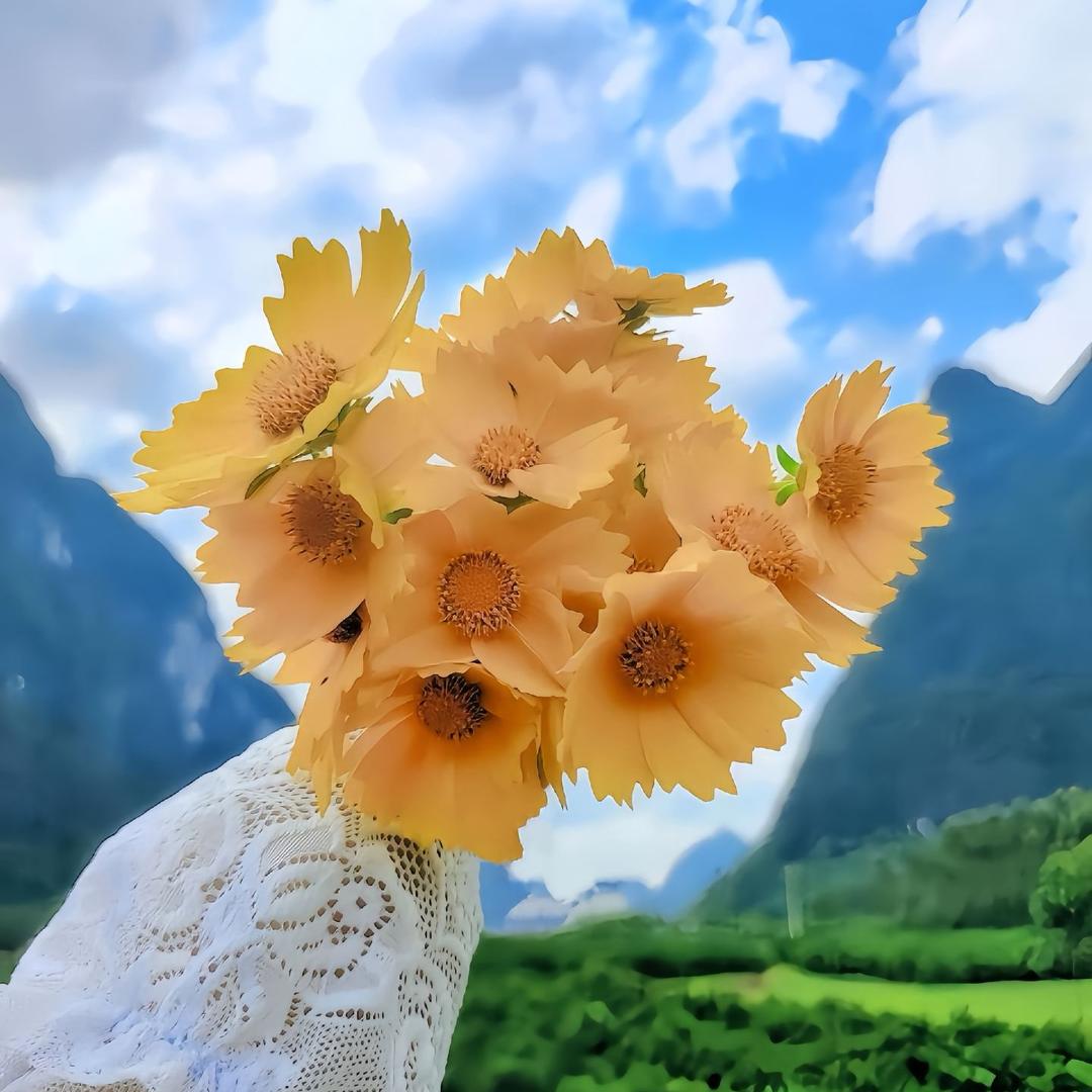 你好