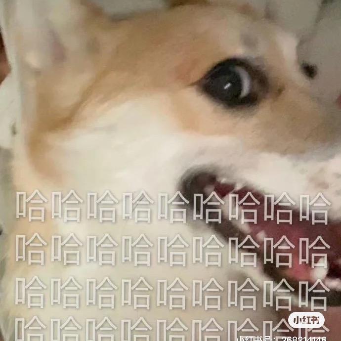 西西哦