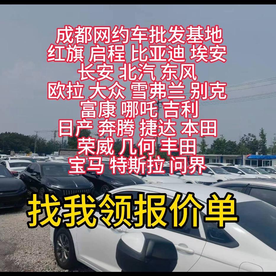 成都二手网约车芳芳