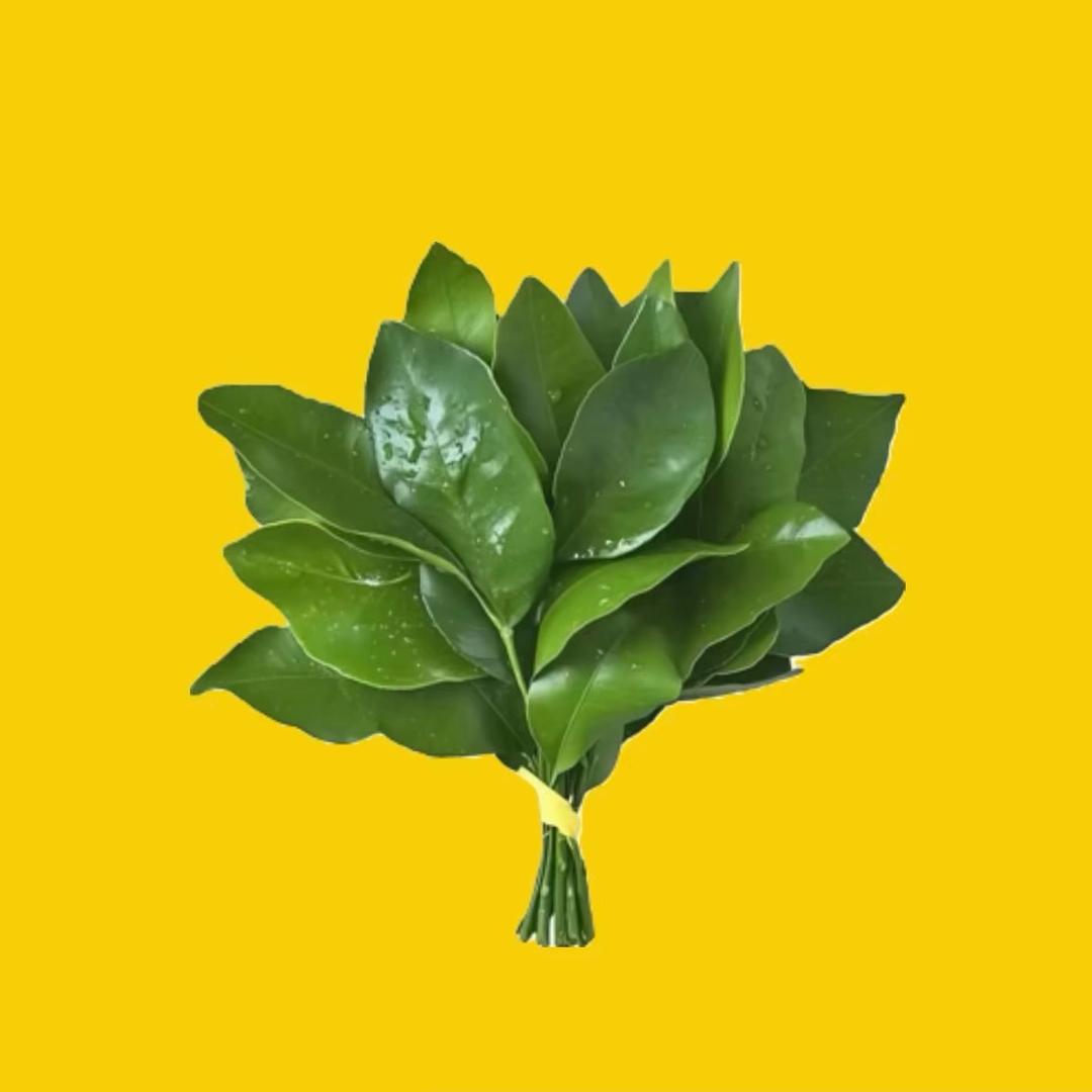 一个郭·