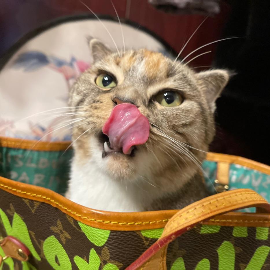 栾99