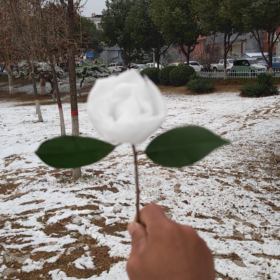 絮果
