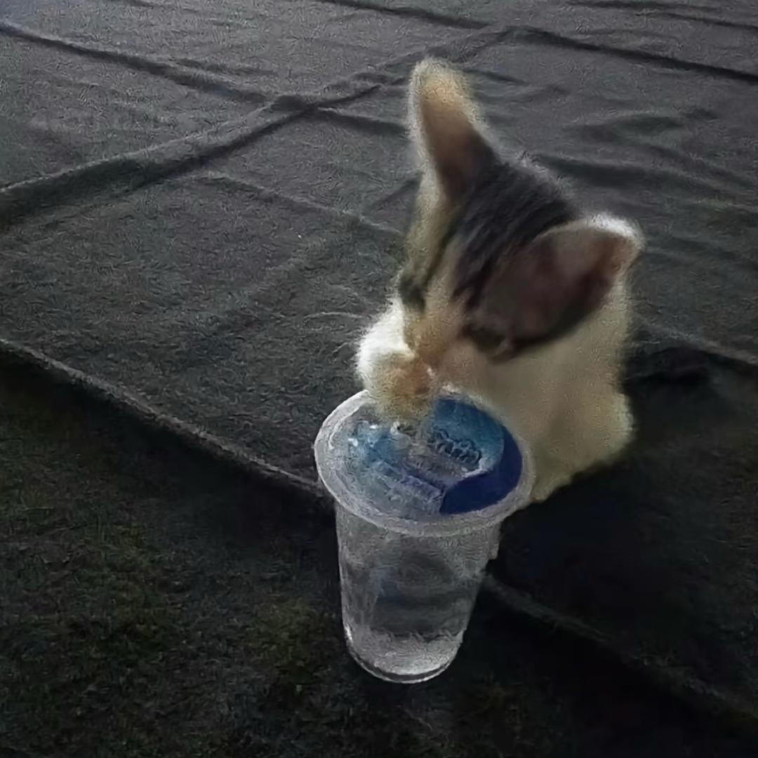 蒜蓉辣椒冰_