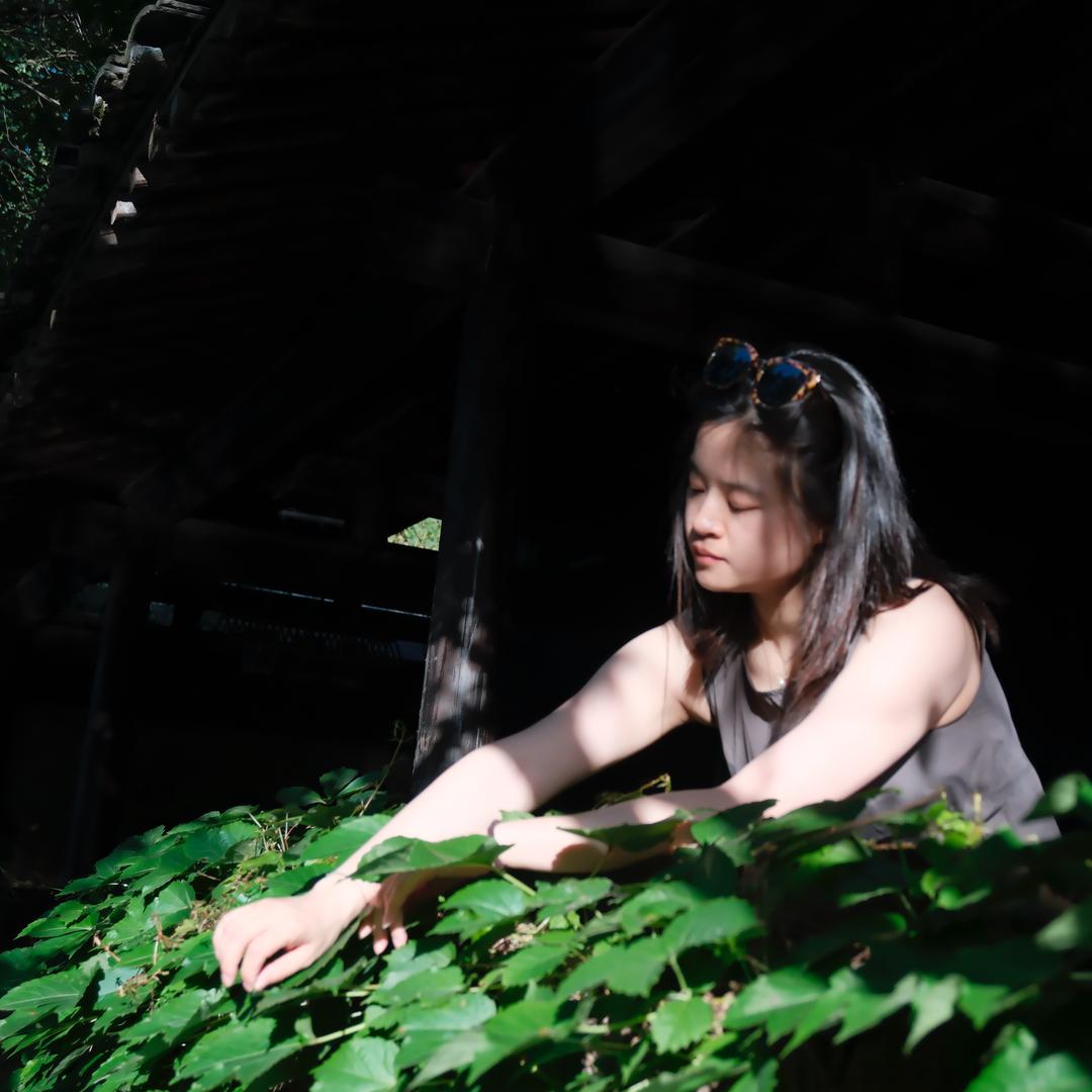 能吃香菜折耳根