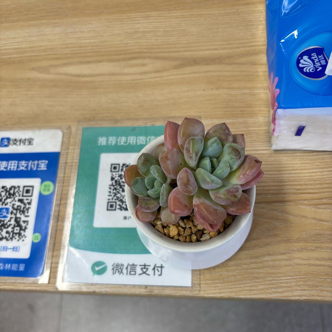 闪电