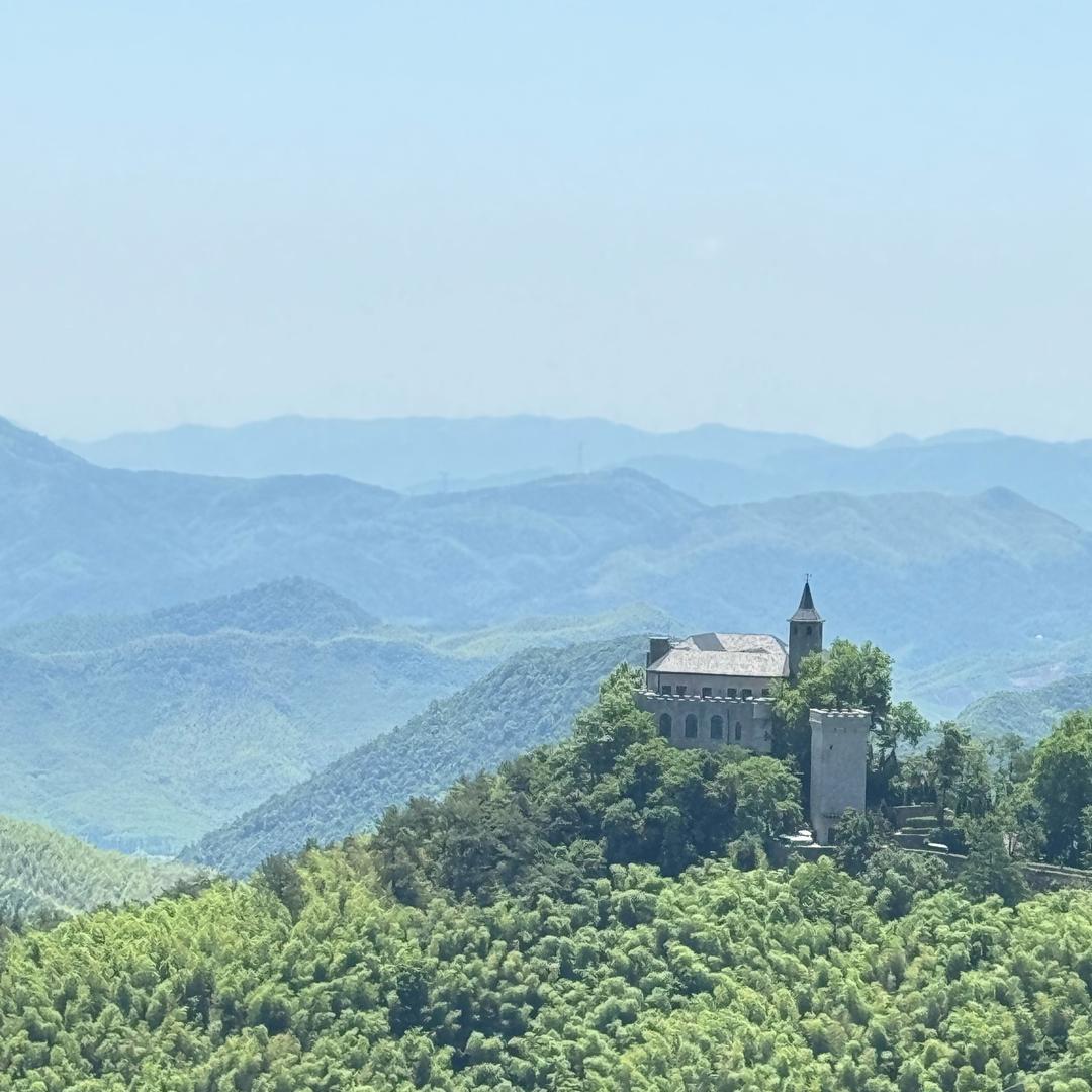 竹林半亩