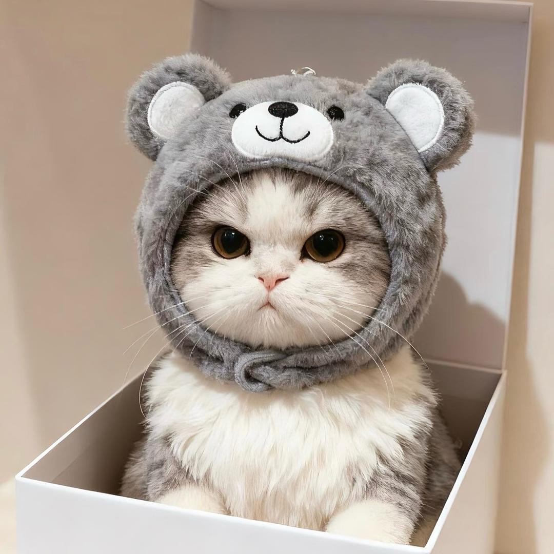 芋圆卷卷猫🐈