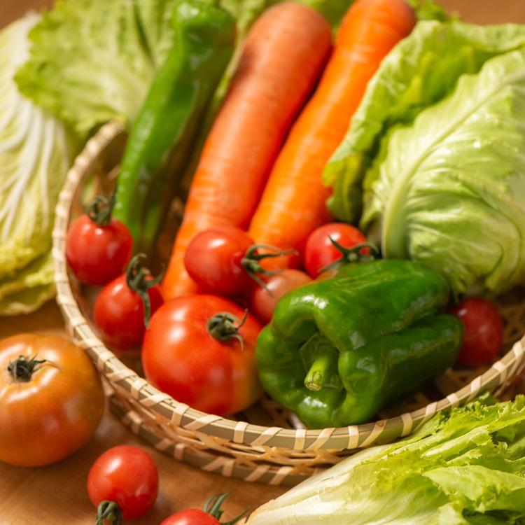 食为先老蒋