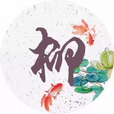 ℳ 柳先生ᝰ 🖋