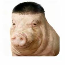 头上抹点开塞露，聪明才智堵不住