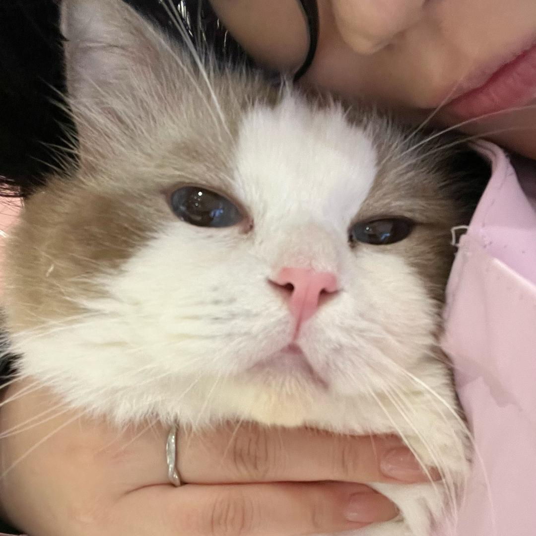 悲伤胡萝卜