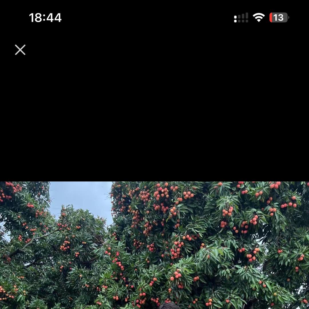 灵山农人土特产