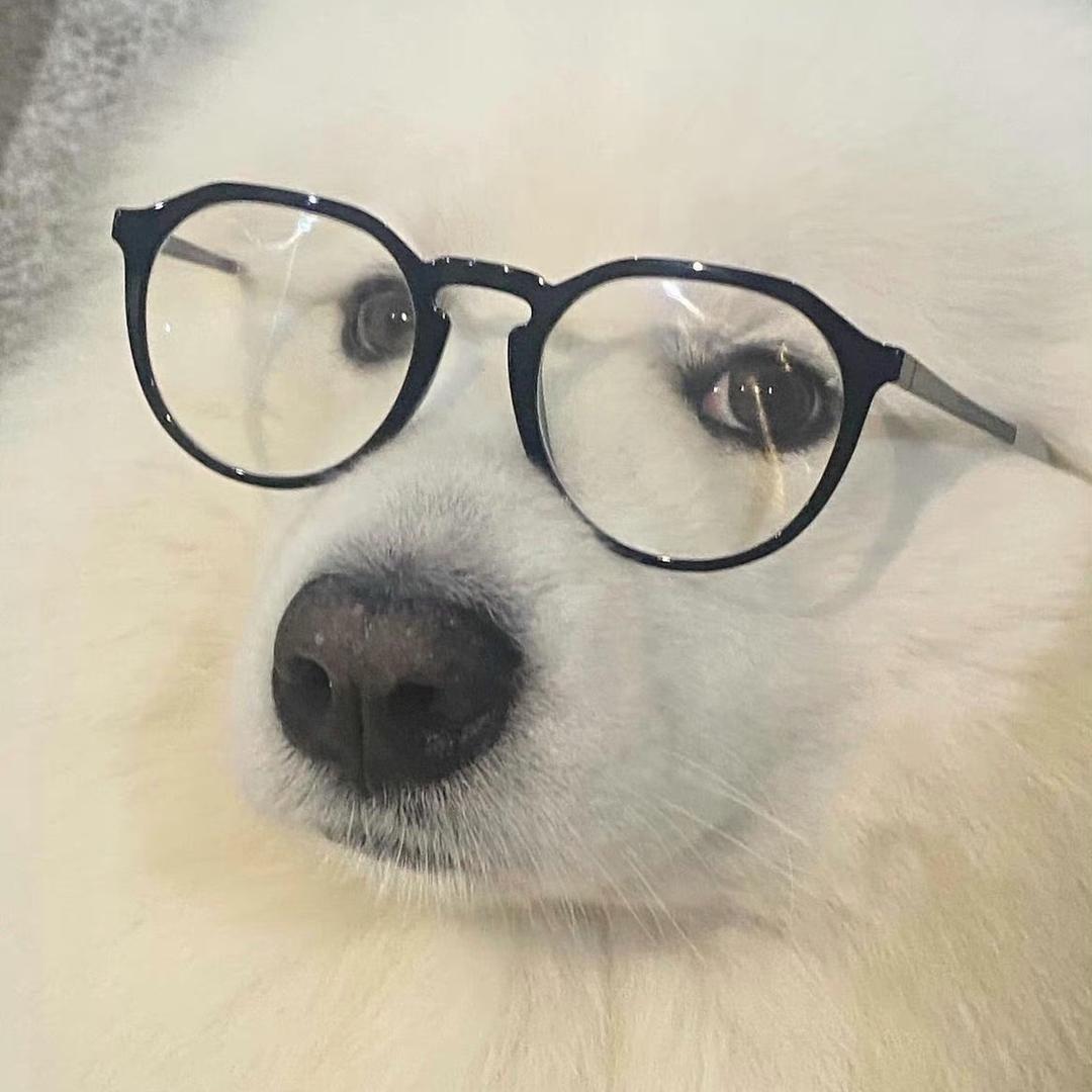 心碎小狗૮ • ·̫ •̥ ა